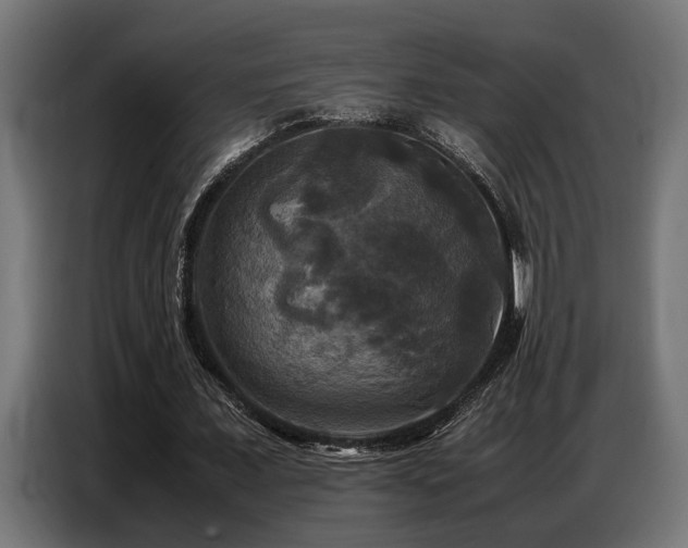 X0000087710675200705041059