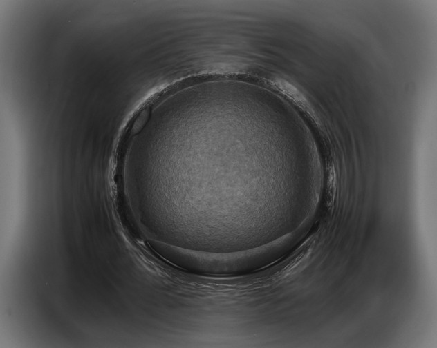 X0000087710676200705041059