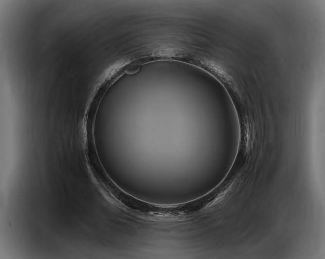X0000087710678200705041059