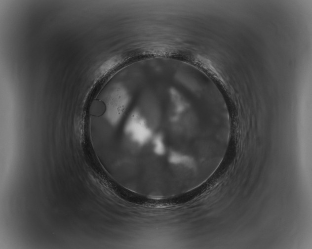 X0000087710679200705041059
