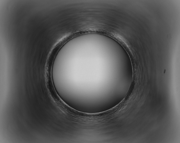X0000087710680200705041059
