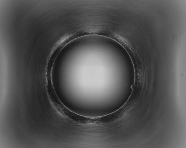 X0000087710682200705041059