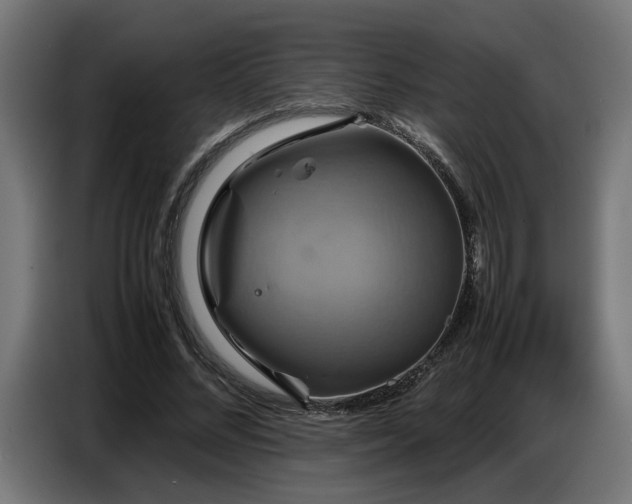 X0000087710684200705041059
