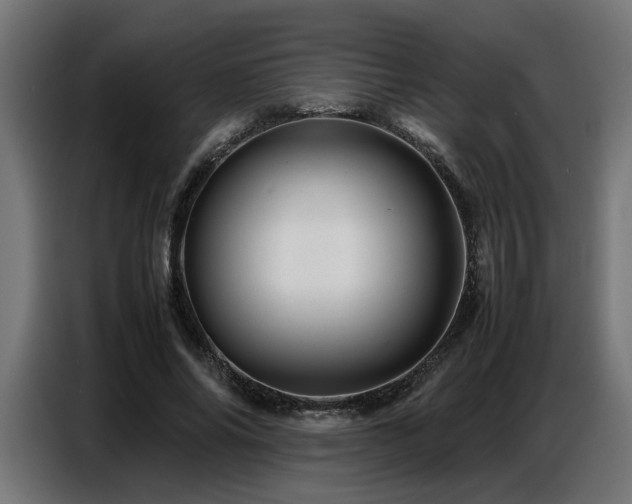 X0000087710686200705041059