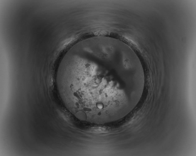 X0000087710687200705041059