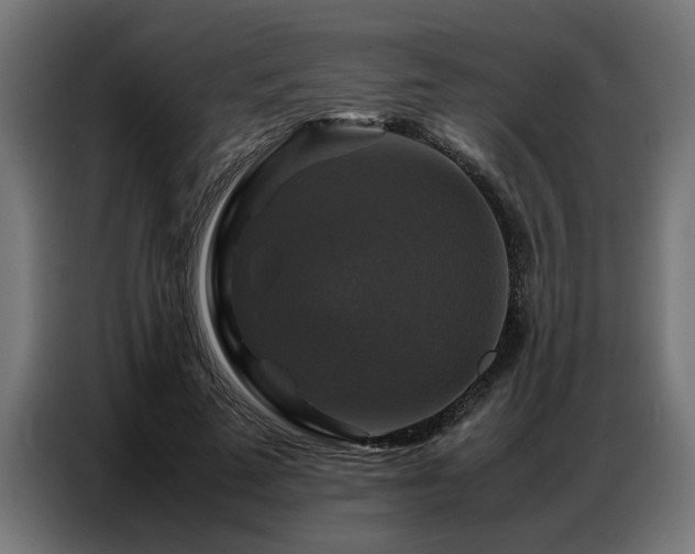 X0000087710689200705041059