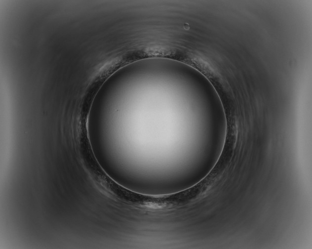X0000087710690200705041059