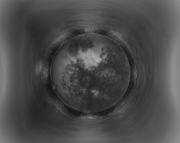 X0000087710691200705041059