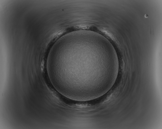 X0000087710693200705041059