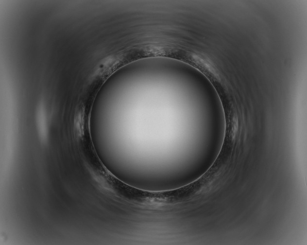 X0000087710694200705041059