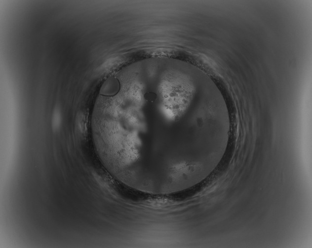 X0000087710695200705041059
