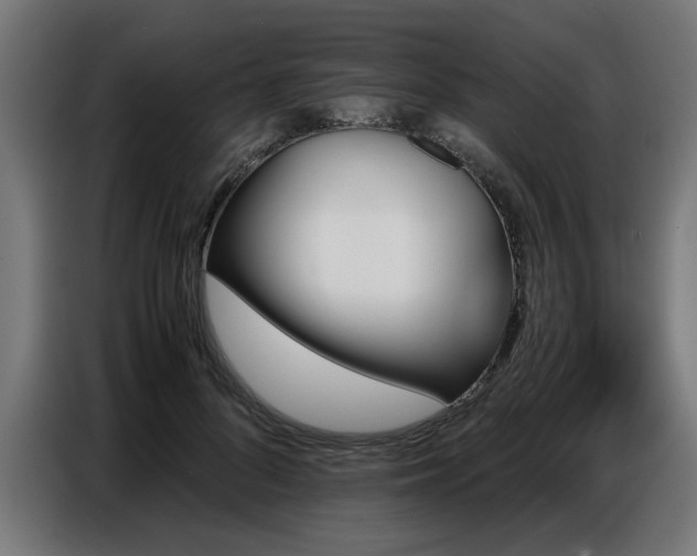 X0000087710696200705041058