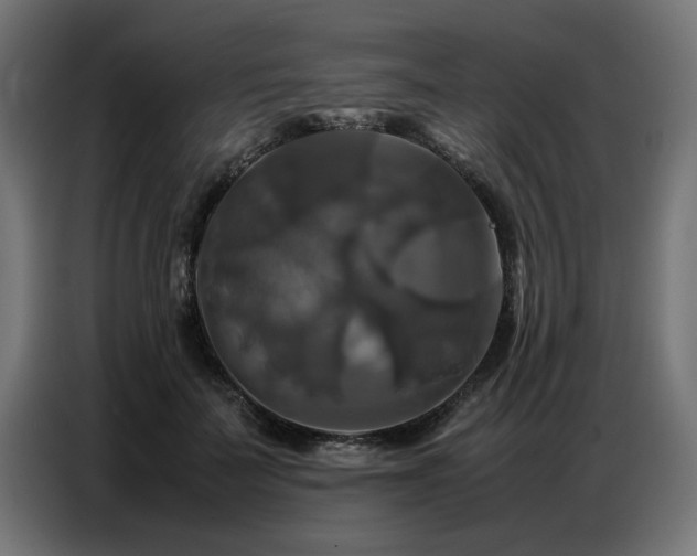 X0000087710699200705041058