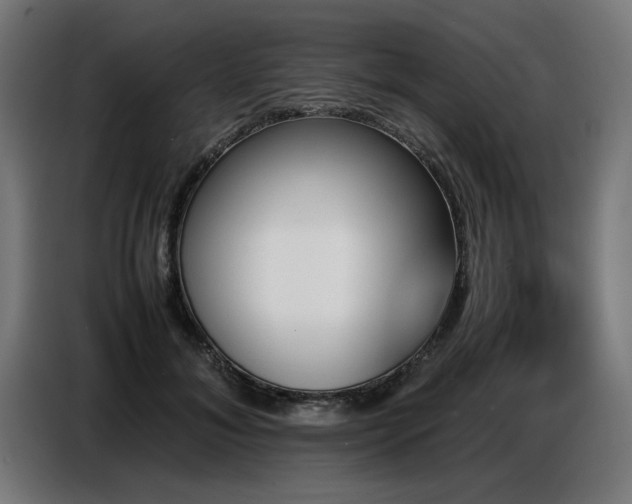 X0000087710700200705041058