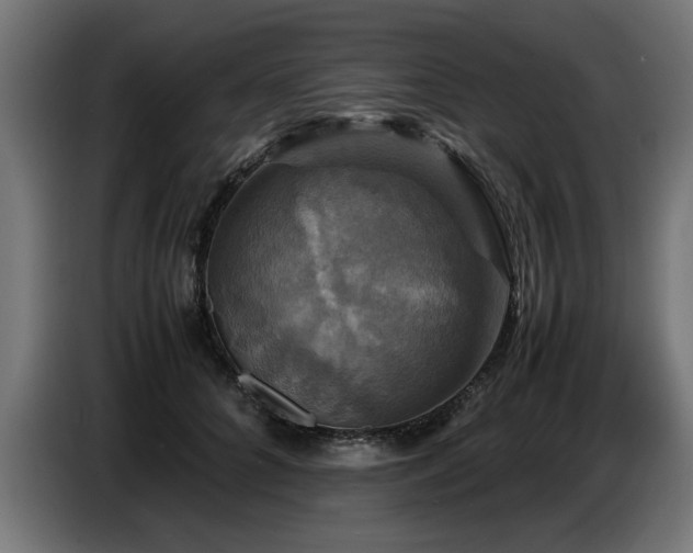 X0000087710704200705041058