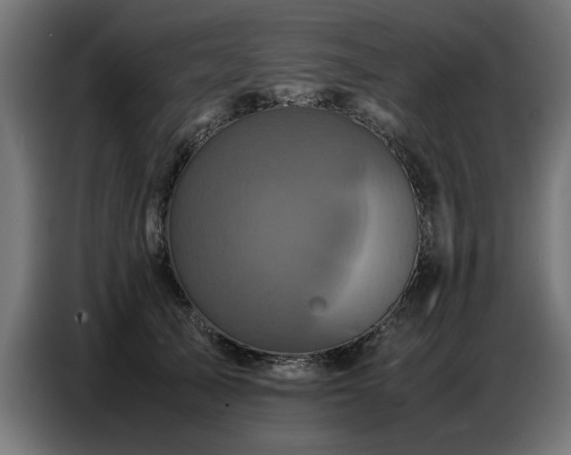 X0000087710705200705041058