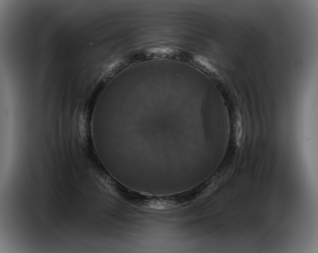 X0000087710708200705041058