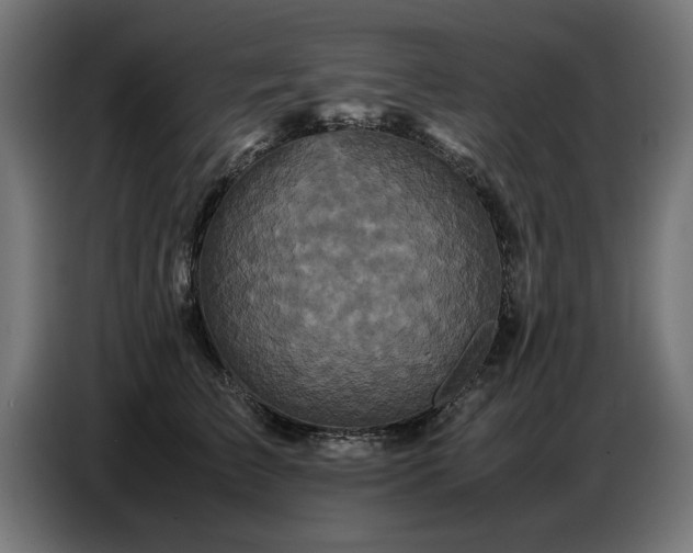 X0000087710709200705041058