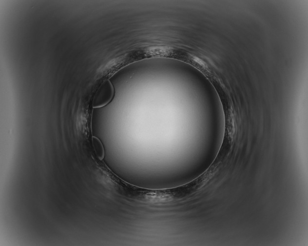 X0000087710714200705041058