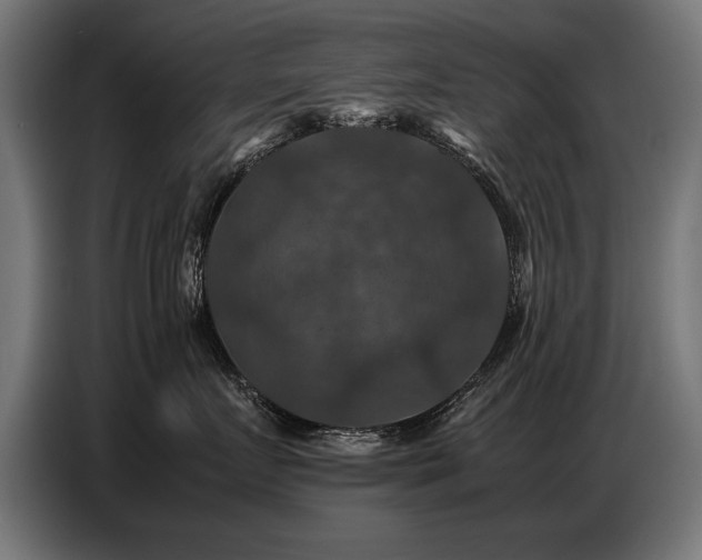 X0000087710719200705041058
