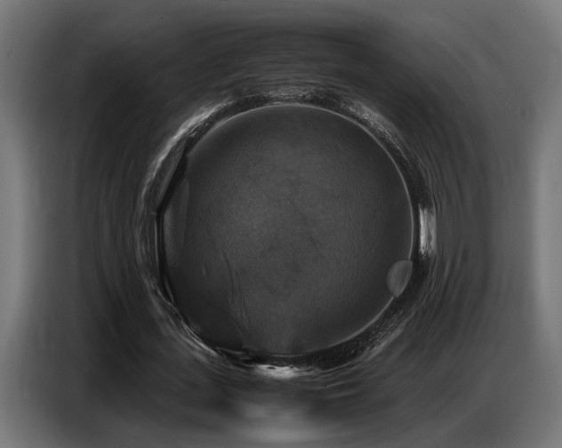 X0000087710723200705041058