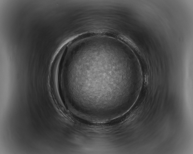 X0000087710724200705041058