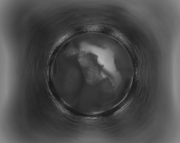 X0000087710725200705041058