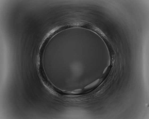 X0000087710726200705041058