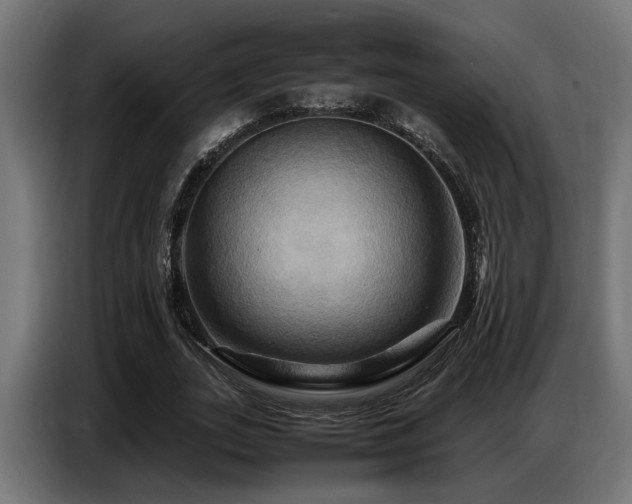 X0000087710727200705041058
