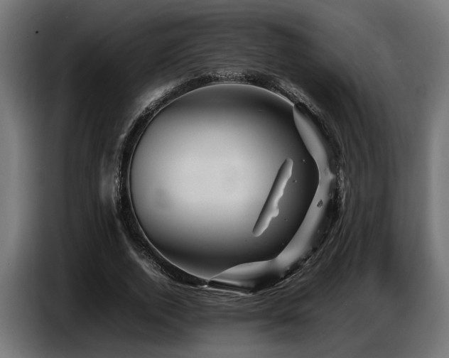 X0000087710728200705041058