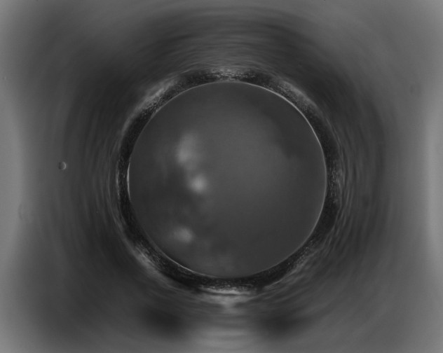 X0000087710734200705041058