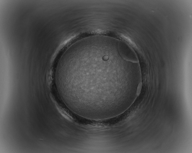 X0000087710736200705041058