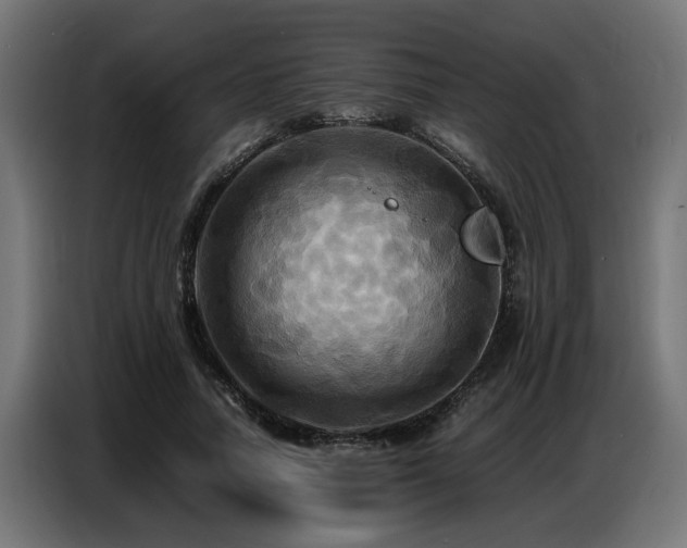 X0000087710738200705041058