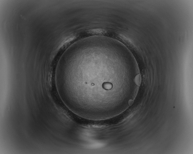 X0000087710739200705041058