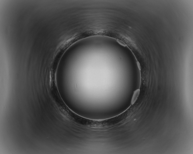 X0000087710740200705041058
