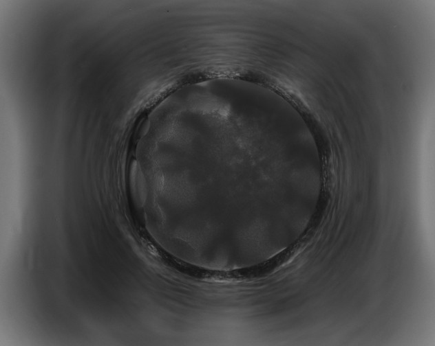 X0000087710742200705041058