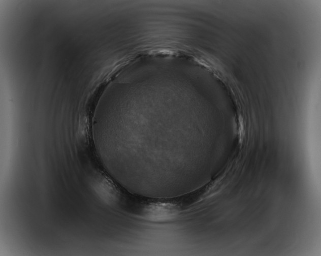 X0000087710748200705041058
