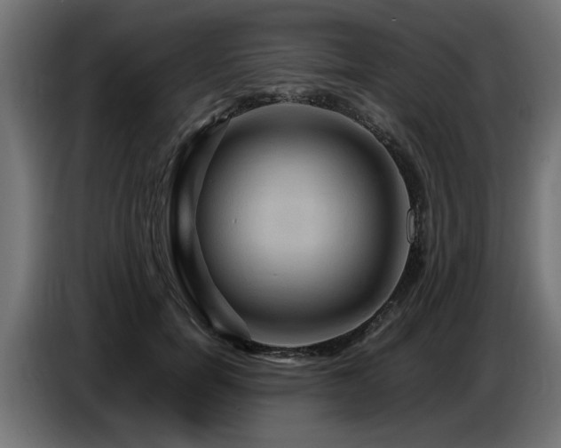 X0000087710750200705041058