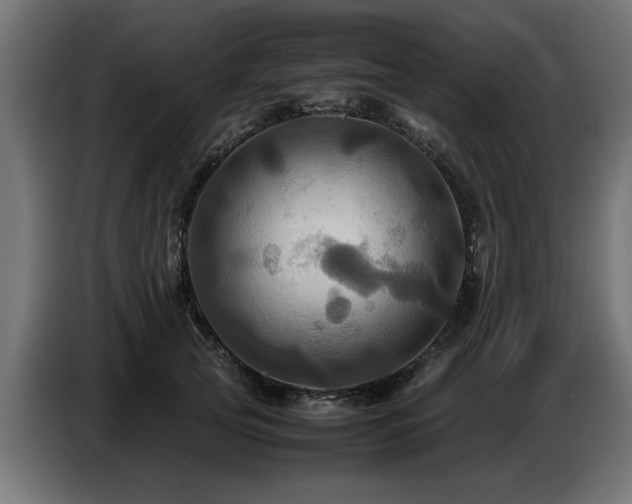 X0000087710753200705041058