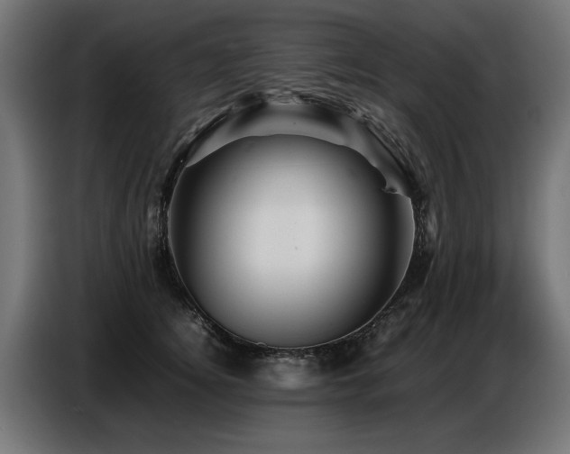 X0000087710756200705041058