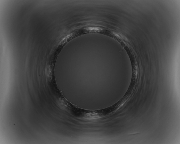 X0000087710759200705041058