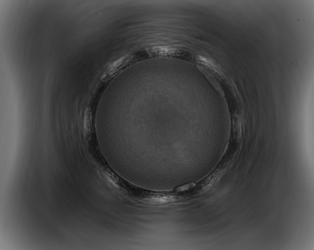 X0000087710760200705041058