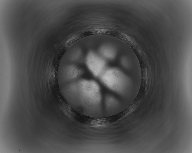 X0000087710761200705041058