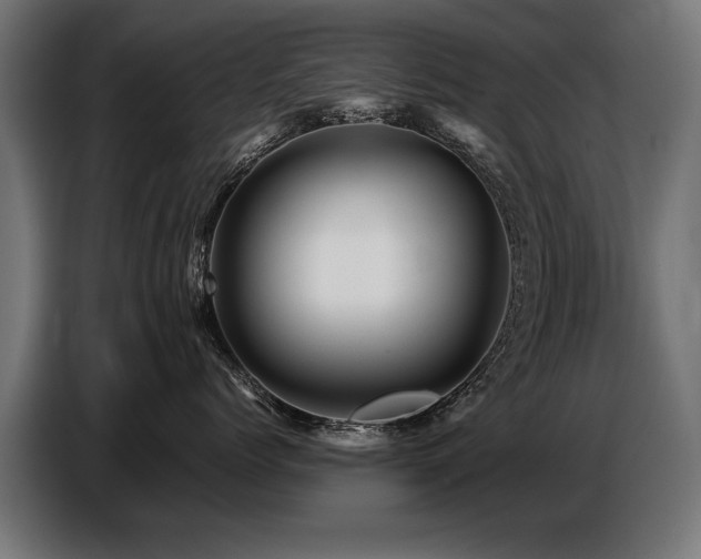 X0000087710768200705041058
