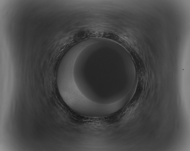 X0000087710769200705041057