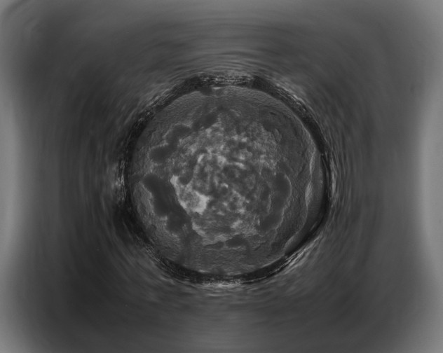 X0000087710771200705041057