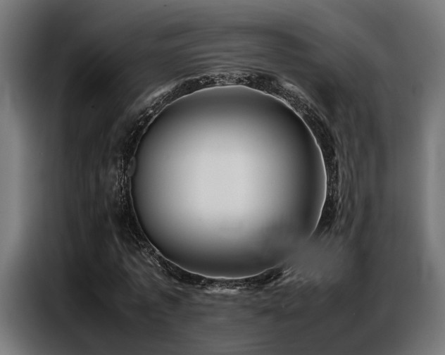 X0000087710773200705041057