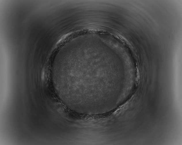 X0000087710776200705041057