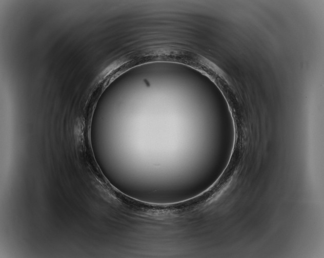 X0000087710778200705041057