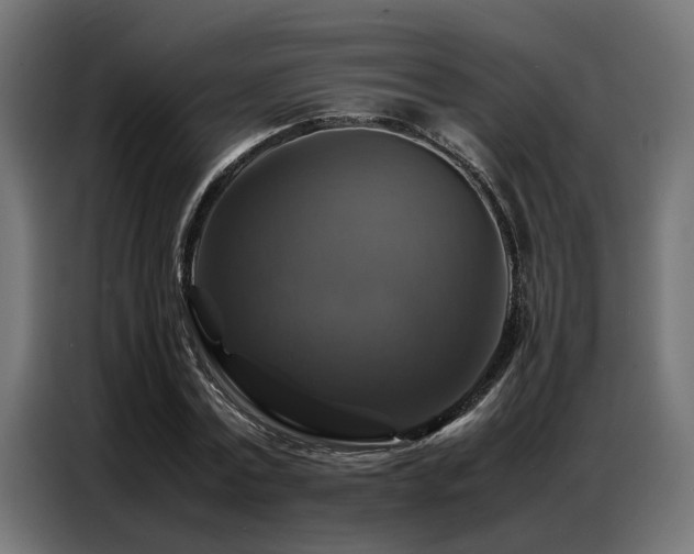 X0000087710779200705041057